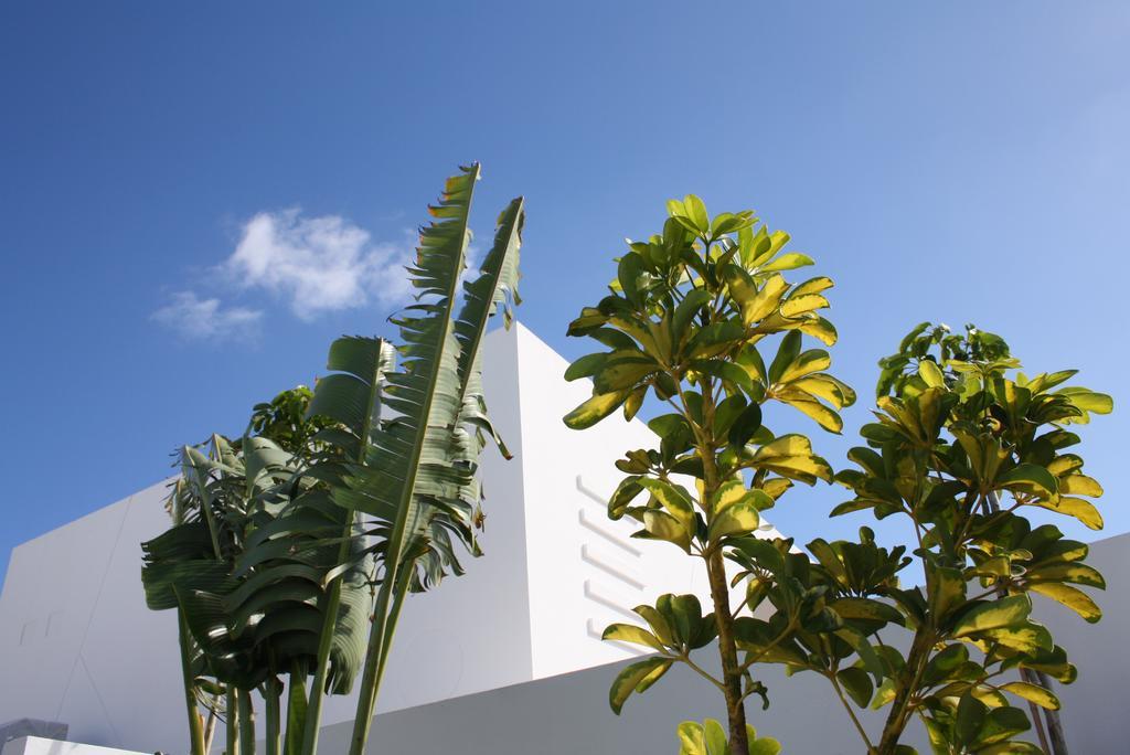 Villas de la Marina Playa Blanca  Exterior foto